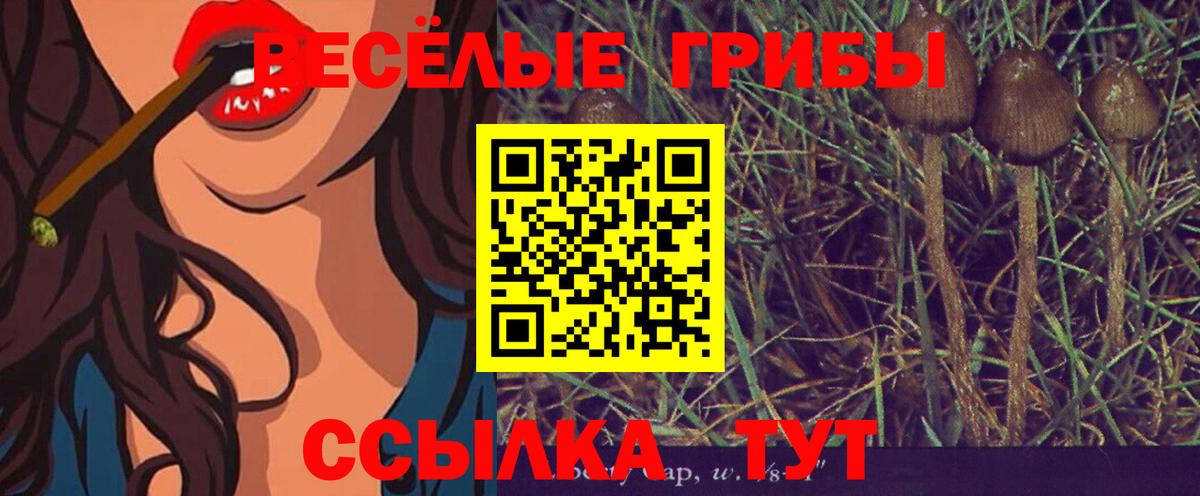 Орск  Псилоцибиновые грибы MAGIC MUSHROOMS  Галлюциногенные грибы GOLDEN TEACHER  Вход с VPN 