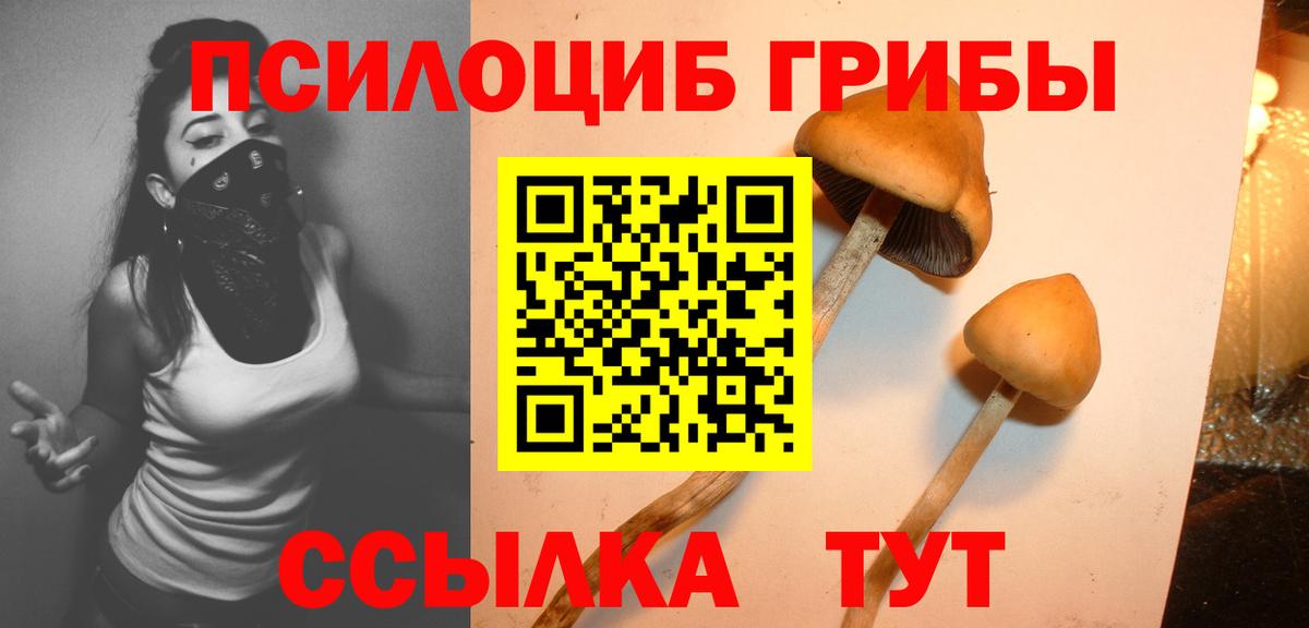Галлюциногенные грибы GOLDEN TEACHER Орск